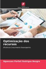 Optimização dos recursos af Nguessan Parfait Rodrigue Beugré