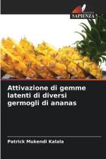 Attivazione di gemme latenti di diversi germogli di ananas af Patrick Mukendi Kalala