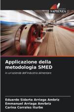 Applicazione della metodologia SMED af Eduardo Sidarta Arriaga Ambriz