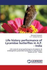 Life history performance of Lycanidae butterflies in A.P. - India af Bantupalli Sreekanth