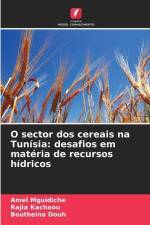 O sector dos cereais na Tunísia: desafios em matéria de recursos hídricos af Amel Mguidiche
