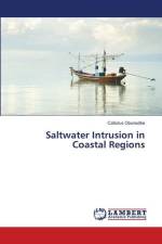 Saltwater Intrusion in Coastal Regions af Callistus Obunadike
