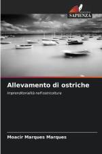 Allevamento di ostriche af Moacir Marques Marques