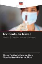 Accidents du travail af Dilene Fontinele Catunda Melo