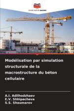 Modélisation par simulation structurale de la macrostructure du béton cellulaire af A. I. Adilhodzhaev