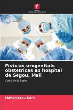 Fístulas urogenitais obstétricas no hospital de Ségou, Mali af Mahamadou Koné