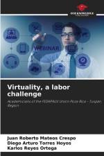 Virtuality, a labor challenge af Juan Roberto Mateos Crespo