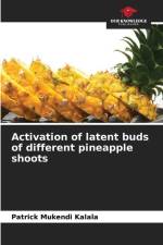 Activation of latent buds of different pineapple shoots af Patrick Mukendi Kalala