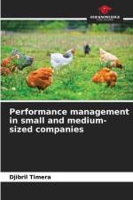 Performance management in small and medium-sized companies af Djibril Timéra