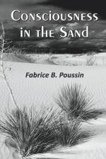 Consciousness in the Sand af Fabrice B. Poussin