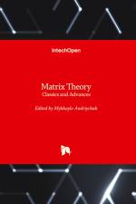 Matrix Theory af Mykhaylo Andriychuk