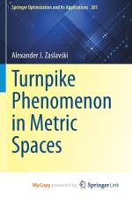 Turnpike Phenomenon in Metric Spaces af Zaslavski Alexander J. Zaslavski