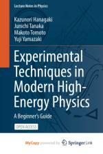 Experimental Techniques in Modern High-Energy Physics af Tomoto Makoto Tomoto
