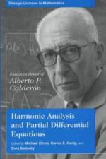 Harmonic Analysis and Partial Differential Equations