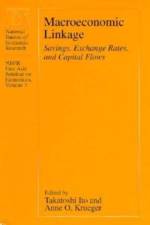Macroeconomic Linkage