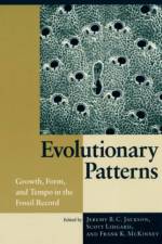Evolutionary Patterns