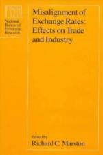 Misalignment of Exchange Rates