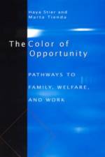 The Color of Opportunity: Pathways to Family, Welfare, and Work af Haya Stier