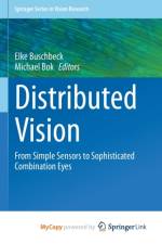 Distributed Vision