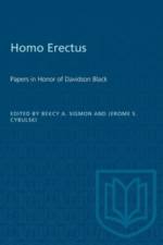 Homo Erectus