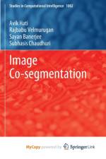 Image Co-segmentation af Banerjee Sayan Banerjee