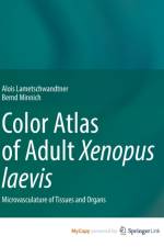 Color Atlas of Adult Xenopus laevis af Lametschwandtner Alois Lametschwandtner