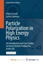 Particle Polarization in High Energy Physics af Lourenco Carlos Lourenco