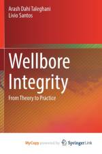 Wellbore Integrity af Santos Livio Santos