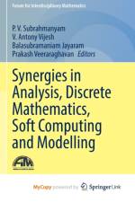 Synergies in Analysis, Discrete Mathematics, Soft Computing and Modelling