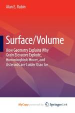 Surface/Volume af Rubin Alan E. Rubin