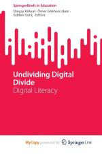 Undividing Digital Divide