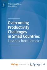 Overcoming Productivity Challenges in Small Countries af Ivey Wendel Ivey