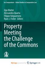Property Meeting the Challenge of the Commons