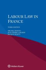 Labour Law in France af Despax+ Michel