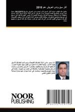آثار سيل وادى العريش عام 2010