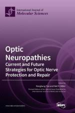 Optic Neuropathies