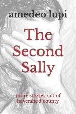 The Second Sally: more stories out of havershed county af Amedeo Lupi