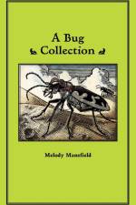 A Bug Collection af Melody Mansfield