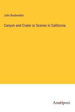 Canyon and Crater or Scenes in California af John Bookwalter