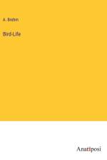 Bird-Life