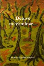 Detuve mi caminar... af Tomas Morilla Massieu