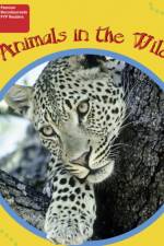 PYP L1 Animals in the Wild single
