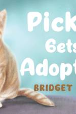 Pickle Gets Adopted af Bridget Holck