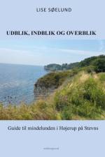 Udblik, indblik og overblik af Lise Søelund