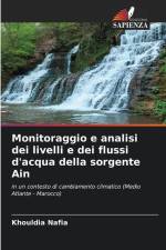 Monitoraggio e analisi dei livelli e dei flussi d'acqua della sorgente Ain af Khouldia Nafia
