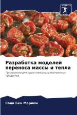Razrabotka modelej perenosa massy i tepla af Sana Ben Meriem
