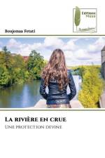 La rivière en crue af Boujemaa Fetati