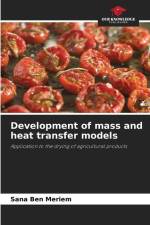 Development of mass and heat transfer models af Sana Ben Meriem