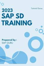 2023 SAP SD Training af Sap Guru