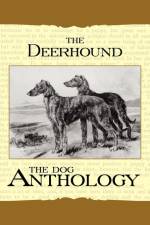 The Deerhound - A Dog Anthology (A Vintage Dog Books Breed Classic) af Various